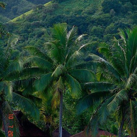 Tauhanihani Village Lodge La Vague Bleue Teahupoo Exterior photo