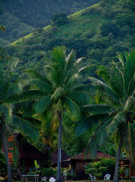 Tauhanihani Village Lodge La Vague Bleue Teahupoo Exterior photo